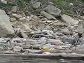 Romania voluntariat - Barajul Siriului Buzau 1