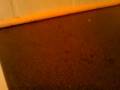 videos de VIDEO_001[1].mp4