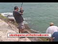 Vive La Pesca Barra de Chavarria 3