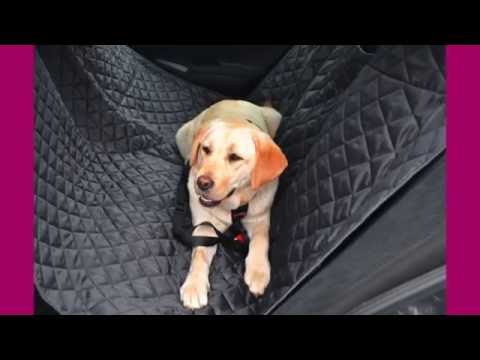 tierlando Autoschondecke – Die Lösung für Hundplätze auf der Rückbank!