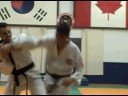 armbar armbar