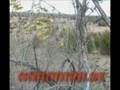 videos de Whitetail Highlight Vol 1