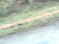 Vídeo005[1]