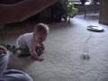 Baby laughing  cat playing 