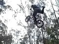 BMX - 20 inch Terrorists BMX - 20 inch Terrorists