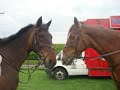 bywell x country day