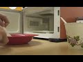 Microwaving My Credit Card Microwaving My Credit Card