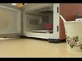 Microwaving My Credit Card