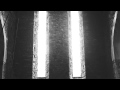Frankmusik Chasing Shadows Official Music Video and Lyrics