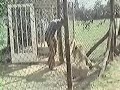 christian the lion  hug!