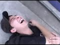 jackass chileno