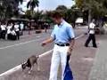 Comercial hombre se gana un chivo