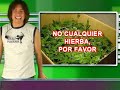 Smoke On The Water: japanese style | Telurica TV 334