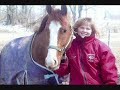 Maxwell Super safe Hunter/Pony Club/Western/Family Horse for sale!