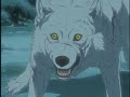 Wolf\