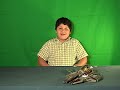 THE GREENO SHOW! Part 1 THE GREENO SHOW! Part 1