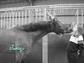 Jumanji's recovery :)