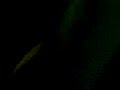 Video0039.3gp