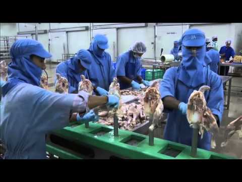how to poultry farming india