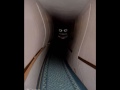 Fear