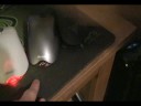 mousereview.avi