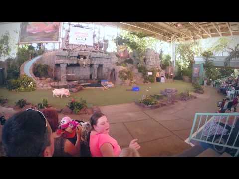 how to get to universal studios from disney world