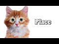 Petco dot-com coupon code LAUGH saves 10% on all pet supplies