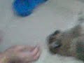 sleeping