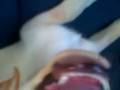 29-11-08_1457.3gp