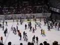 weiner dog races @ Ice Bears Hockey game