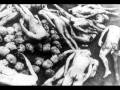 videos de Fabian Marquisio - Verguenza (collage sobre la bajeza humana)