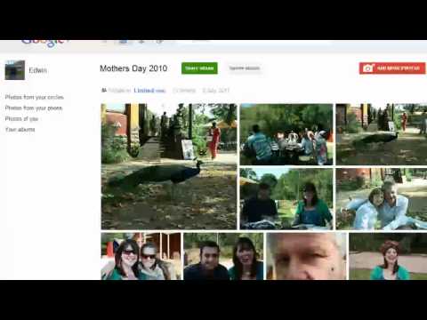 how to organize google photos