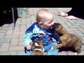 Bebekler Ve Köpekler :)