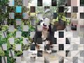 malou video malou video