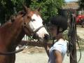 Ana Kissing Tierno the Super Pony in Petaluma