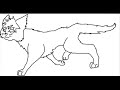 cat walk cycle 0001