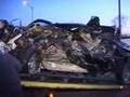 SEMI TRUCK ACCIDENT- PICK UP TRUCK CRUSHED