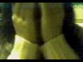 ((VideOS Da kAt))  kAt s2 brUnO