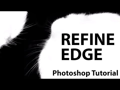 CS5 - In this tutorial, A.J. covers the changes made from CS4 to CS5 within the Refine Edge command. Share this video, Tweet to your friends: http://bit.ly/refinee...