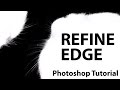 Adobe Photoshop CS5 - Refine Edge Command