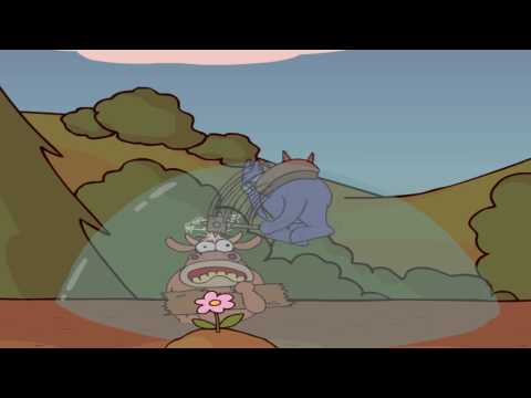 Imagen de previsualización de YouTube