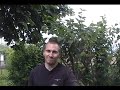 Syndrome-O/C-TV #10 - nVidia CUDA Overview