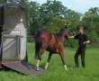 Video ansehen