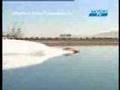 IHBA Dragster boats