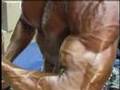MostMuscular-Com-Bac