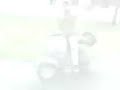 shrey wheelies on bajaj cub n wave