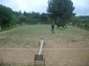 encore lu en plein action ^^