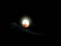 videos de Mondfinsternis 16.08.2008