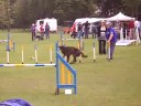 Anne and Bruno Sat Agility