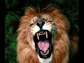 Big Cats - Gamma Ray - Lonesome Stranger Big Cats - Gamma Ray - Lonesome Stranger